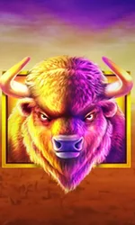 Buffalo King